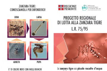 Progetto di lotta alla zanzara tigre